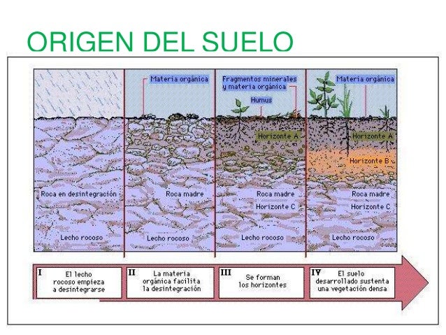Suelo