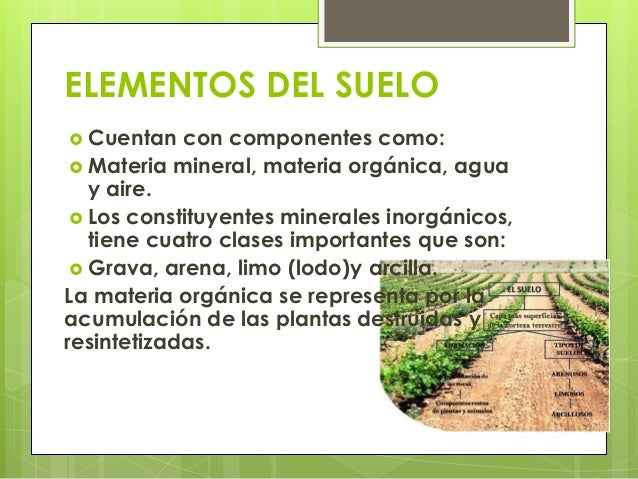 Suelo