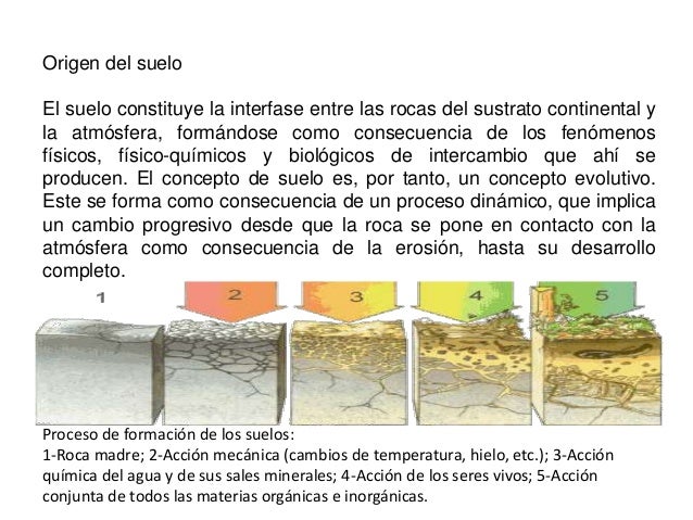 Suelo