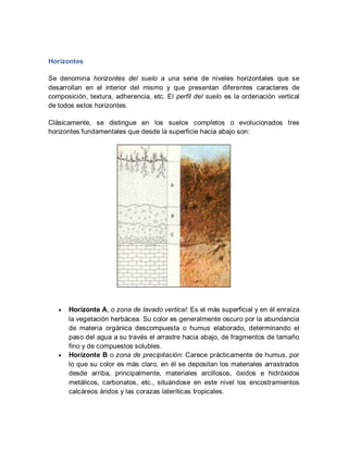 Horizontes
Se denomina horizontes del suelo a una serie de niveles horizontales que se
desarrollan en el interior del mismo y que presentan diferentes caracteres de
composición, textura, adherencia, etc. El perfil del suelo es la ordenación vertical
de todos estos horizontes.
Clásicamente, se distingue en los suelos completos o evolucionados tres
horizontes fundamentales que desde la superficie hacia abajo son:
 Horizonte A, o zona de lavado vertical: Es el más superficial y en él enraíza
la vegetación herbácea. Su color es generalmente oscuro por la abundancia
de materia orgánica descompuesta o humus elaborado, determinando el
paso del agua a su través el arrastre hacia abajo, de fragmentos de tamaño
fino y de compuestos solubles.
 Horizonte B o zona de precipitación: Carece prácticamente de humus, por
lo que su color es más claro, en él se depositan los materiales arrastrados
desde arriba, principalmente, materiales arcillosos, óxidos e hidróxidos
metálicos, carbonatos, etc., situándose en este nivel los encostramientos
calcáreos áridos y las corazas lateríticas tropicales.
 