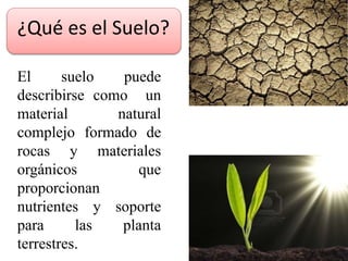 ¿Qué es el Suelo?
El suelo puede
describirse como un
material natural
complejo formado de
rocas y materiales
orgánicos que
proporcionan
nutrientes y soporte
para las planta
terrestres.
 