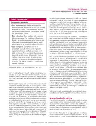 Suelo-Pelvico- Dolor pélvico Agudo y crónico | PDF