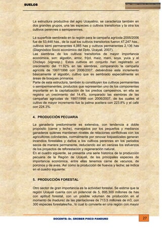 SUELOS

La estructura productiva del agro Ucayalino, se caracteriza también en
dos grandes grupos, una las especies o cultivos transitorios y la otra los
cultivos perennes o semiperennes.
La superficie sembrada en la región para la campaña agrícola 2005/2006
fue de 53,448 has., de la cual los cultivos transitorios fueron 47,247 has.,
cultivos semi permanentes 4,065 has y cultivos permanentes 2,136 has
(Diagnóstico Socio económico del Dpto. Ucayali. 2007).
Las siembras de los cultivos transitorios de mayor importancia
económica, son: algodón, arroz, fríjol, maíz, maní, soya, yuca y el
Chiclayo (vignasp.). Estos cultivos en conjunto han registrado un
crecimiento del 11.92% en las siembras, comparando la campaña
agrícola de 1997/1998 con 2006/2007, debiéndose este incremento
básicamente al algodón, cultivo que es sembrado especialmente en
áreas de bosques primarios.
Parte de esta estructura, también lo constituyen los cultivos permanentes
o semipermanentes, productos que representan uno de los componentes
importante en la capitalización de los predios campesinos, en ella se
registra un crecimiento del 14.4%, comparado las siembras de las
campañas agrícolas de 1997/1998 con 2006/2007, de los cuales el
cultivo de mayor incremento fue la palma aceitera con 223.8% y el café
con 224.3%.
4. PRODUCCIÓN PECUARIA
La ganadería predominante es extensiva, con tendencia a doble
propósito (carne y leche), manejados por los pequeños y medianos
ganaderos quiénes mantienen niveles de relaciones conflictivas con los
agricultores colindantes, normalmente por renovar lospastizales generan
incendios forestales y daños a los cultivos perennes en los periodos
secos de manera permanente, reduciendo así en cenizas los esfuerzos
de los proyectos de reforestación y regeneración natural.
En el cuadro siguiente, se presenta una serie histórica de la producción
pecuaria de la Región de Ucayali, de las principales especies de
importancia económica, entre ellas tenemos carne de vacunos, de
porcinos y de aves. Así como la producción de huevos y leche; se indica
en el cuadro siguiente:
5. PRODUCCIÓN FORESTAL
Otro sector de gran importancia es la actividad forestal. Se estima que la
región Ucayali cuenta con un potencial de 5, 895,300 millones de has
con aptitud forestal, con un posible volumen de producción en el
momento de madurez de las plantaciones de 713.5 millones de m3, con
300 especies forestales/ha., lo cual lo convierte en una región con mayor

DOCENTE: Dr. GROBER PISCO PANDURO

27

 