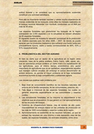 SUELOS

actitud forestal y se considera que su aprovechamiento sostenible
constituye una actividad estratégica.
Para ello es importante también rescatar y validar mucha experiencia de
manejo sostenible de los bosques, entre ellas los trabajos realizados en
el bosque nacional Alexander Von Humbolt, conducidas por el INIA por
más de 30 años.
Las especies forestales que predominan los bosques de la región
sobrepasan las 2,000 especies y en la actualidad se extraen alrededor
de 60 especies forestales.
El siguiente cuadro se muestra la variación porcentual de la producción
de madera aserrada para los años 2006 – 2007, de donde se puede
apreciar que los productos madereros que sufrieron una fuerte caída son
principalmente lupuna, cedro y caoba conreducciones de 69%, 63% y
61% respectivamente.
6. PROBLEMÁTICA DEL SECTOR AGRARIO
Si bien es cierto que un sector de la agricultura en la región viene
creciendo, caso de la palma aceitera, Camú Camú, café, cacao, etc.,
que se caracteriza porque conlleva un cierto nivel a la capitalización de
los agricultores, pero al mismo tiempo encontramos otro sector
mayoritario de agricultores que no se capitalizan, especialmente aquellos
que manejan cultivos anuales: sin embargo el común denominador de
ambos sectores, se percibe el mayor problema es la baja rentabilidad
económica sumado la baja competitividad y solidaridad agraria.
Las causas que explican este problema son:
1. Bajo nivel de conocimiento científico de los recursos naturales del
entorno de la familia campesina, de las comunidades, caseríos, etc.
2. Tala ilegal e irracional de las especies forestales, los cuales no
generan desarrollo especialmente en las comunidades y caseríos
rurales.
3. Las concesiones forestales, en su mayoría no respondieron a los
objetivos que se propusieron, lo que generó un mal aprovechamiento
de los recursos del bosque.
4. Carencia de infraestructura básica, vías de acceso de alto costo,
inaccesibilidad de energía básica en las unidades de producción en
las más de 1000 comunidades y caseríos rurales de la región.
5. Aprovechamiento no sostenible de los recursos naturales, ya que se
extraen los recursos sin una mínima o nula reposición caso de los
suelos, las especies forestales, los animales silvestres, entre otros.

DOCENTE: Dr. GROBER PISCO PANDURO

28

 