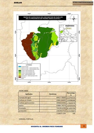 SUELOS

PADRE ABAD
Aptitudes
Cuerpos de agua
Cultivos en limpio
Cultivos permanentes
pastos
forestales

Hectáreas

Porcentaje
%

69617.79503 6.12793724
23061.84493 2.02996286
20068.63445 1.76649278
52884.79374 4.65505546
744190.6196 65.5055709
226248.5712 19.9149807

protección

1136072.259

100

CORONEL PORTILLO

DOCENTE: Dr. GROBER PISCO PANDURO

35

 