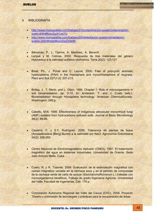 SUELOS

9

BIBLIOGRAFÍA
http://www.monografias.com/trabajos31/contaminacion-suelo/contaminacionsuelo.shtml#ixzz2gJh1xwYo
http://www.monografias.com/trabajos20/remediacion-suelos/remediacionsuelos.shtml#objet#ixzz2gxDrde9h

Bárcenas, P., L. Tijerina. A. Martínez, A. Becerril.
Larqué y M. Colinas. 2002. Respuesta de tres materiales del género
Hylocereus a la salinidad sulfático-clorhídrica. Terra 20(2): 123-127.

Binet, Ph., J. Portal and C. Leyval. 2000. Fate of polycyclic aromatic
hydrocarbons (PAH) in the rhizosphere and mycorrhizosphere of reygrass.
Plant and Soil 227(1-2): 207-213.

Bollag, J., T. Mertz, and L. Otjen. 1994. Chapter 1: Role of microorganisms in
soil bioremediation. pp. 2-10. In: Anderson, T. and J. Coats (eds.).
Bioremediation through rhizosphere technology. American ChemicalSociety,
Washington. 249 p.

Cabello, M.N. 1999. Effectiveness of indigenous arbuscular mycorrhizal fungi
(AMF) isolated from hydrocarbons polluted soils. Journal of Basic Microbiology
39(2): 89-95.

Casierra, F. y S.Y. Rodríguez. 2006. Tolerancia de plantas de feijoa
(Accasellowiana [Berg] Burret) a la salinidad por NaCl. Agronomía Colombiana
24(2): 258-265.

Centro Nacional de Electromagnetismo Aplicado (CNEA). 1997. El tratamiento
magnético del agua en sistemas industriales. Universidad de Oriente. Sede
Julio Antonio Mella, Cuba.

Cuero, R. y R. Tulande. 2004. Evaluación de la estimulación magnética con
campo magnético variable en la cachaza seca y en el período de compostaje
de la cachaza verde de caña de azúcar (Saccharumofficinarum L.) tratadas con
microorganismos benéficos. Trabajo de grado Ingeniería Agrícola. Universidad
del Valle. Facultad de Ingenierías, Cali. 170 p.

Corporación Autónoma Regional del Valle del Cauca (CVC). 2009. Proyecto
“Diseño y promoción de tecnologías y prácticas para la recuperación de áreas

DOCENTE: Dr. GROBER PISCO PANDURO

45

 