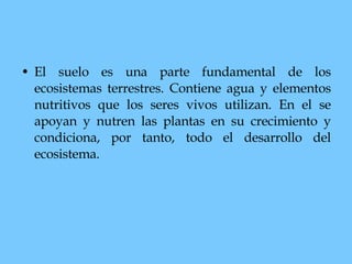 El suelo es una parte fundamental de los ecosistemas terrestres. Contiene agua y elementos nutritivos que los seres vivos utilizan. En el se apoyan y nutren las plantas en su crecimiento y condiciona, por tanto, todo el desarrollo del ecosistema.   
