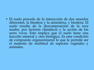 El suelo procede de la interacción de dos mundos diferentes, la litosfera y la atmósfera, y biosfera. El suelo resulta de la descomposición de la roca madre ,  por factores climáticos y la acción de los seres vivos. Esto implica que el suelo tiene una fracción mineral y otra biológica. Es esta condición de compuesto organomineral lo que le permite ser el sustento de multitud de especies vegetales y animales.  