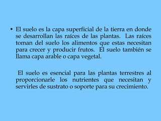El suelo es la capa superficial de la tierra en donde se desarrollan las raíces de las plantas.  Las raíces toman del suelo los alimentos que estas necesitan para crecer y producir frutos.  El suelo también se llama capa arable o capa vegetal. El suelo es esencial para las plantas terrestres al proporcionarle los nutrientes que necesitan y servirles de sustrato o soporte para su crecimiento. 