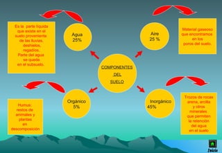 COMPONENTES DEL SUELO Agua 25% Orgánico 5% Inorgánico 45%  Aire 25 % Es la  parte líquida que existe en el suelo proveniente  de las lluvias, deshielos, regadíos. Parte del agua  se queda en el subsuelo.  Humus:  restos de  animales y plantas en  descomposición Material gaseoso que encontramos  en los poros del suelo. Trozos de rocas arena, arcilla y otros minerales  que permiten la retención del agua en el suelo Inicio 