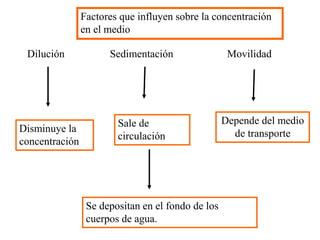 Factores que influyen sobre la concentración
en el medio
Dilución Sedimentación
Sale de
circulación
Disminuye la
concentración
Se depositan en el fondo de los
cuerpos de agua.
Movilidad
Depende del medio
de transporte
 