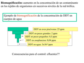 Biomagnificación: aumento en la concentración de un contaminante
en los tejidos de organismos en sucesivos niveles de la red trófica.
DDT en agua: 3x10-6 ppm
DDT en zooplancton: 0,04 ppm
DDT en peces pequeños: 0,5 ppm
DDT en peces grandes: 2 ppm
DDT en aves piscívoras: 25 ppm
Ejemplo de biomagnificación de la concentración de DDT en
cuerpos de agua
Consecuencias para el control: efluentes??
 