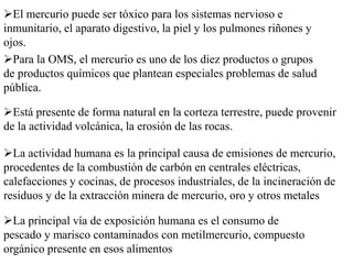 El mercurio puede ser tóxico para los sistemas nervioso e
inmunitario, el aparato digestivo, la piel y los pulmones riñones y
ojos.
Está presente de forma natural en la corteza terrestre, puede provenir
de la actividad volcánica, la erosión de las rocas.
La principal vía de exposición humana es el consumo de
pescado y marisco contaminados con metilmercurio, compuesto
orgánico presente en esos alimentos
Para la OMS, el mercurio es uno de los diez productos o grupos
de productos químicos que plantean especiales problemas de salud
pública.
La actividad humana es la principal causa de emisiones de mercurio,
procedentes de la combustión de carbón en centrales eléctricas,
calefacciones y cocinas, de procesos industriales, de la incineración de
residuos y de la extracción minera de mercurio, oro y otros metales
 