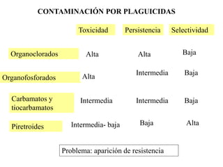 CONTAMINACIÓN POR PLAGUICIDAS
Toxicidad
Organoclorados Alta
Persistencia
Alta
Organofosforados Alta
Intermedia
Carbamatos y
tiocarbamatos
Intermedia Intermedia
Piretroides Intermedia- baja Baja
Selectividad
Baja
Baja
Baja
Alta
Problema: aparición de resistencia
 