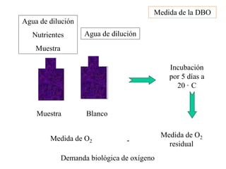 Muestra Blanco
Agua de dilución
Nutrientes
Muestra
Agua de dilución
Incubación
por 5 días a
20 · C
Medida de O2
Medida de O2
residual
-
Demanda biológica de oxígeno
Medida de la DBO
 