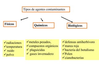 Tipos de agentes contaminantes
Físicos Químicos Biológicos
radiaciones
temperatura
 ruido
polvo
metales pesados,
compuestos orgánicos
 plaguicidas
 gases invernadero
defensas antiherbívoro
marea roja
bacteria del botulismo
Polen
cianobacterias
 
