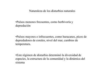 Naturaleza de los disturbios naturales
•Pulsos menores frecuentes, como herbivoría y
depredación
•Pulsos mayores e infrecuentes, como huracanes, picos de
depredadores de corales, nivel del mar, cambios de
temperatura.
•Este régimen de disturbio determinó la diversidad de
especies, la estructura de la comunidad y la dinámica del
sistema
 