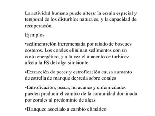 La actividad humana puede alterar la escala espacial y
temporal de los disturbios naturales, y la capacidad de
recuperación.
Ejemplos
•sedimentación incrementada por talado de bosques
costeros. Los corales eliminan sedimentos con un
costo energético, y a la vez el aumento de turbidez
afecta la FS del alga simbionte.
•Extracción de peces y eutroficación causa aumento
de estrella de mar que depreda sobre corales
•Eutroficación, pesca, huracanes y enfermedades
pueden producir el cambio de la comunidad dominada
por corales al predominio de algas
•Blanqueo asociado a cambio climático
 