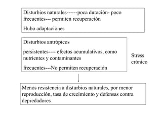 Disturbios naturales------poca duración- poco
frecuentes--- permiten recuperación
Hubo adaptaciones
Disturbios antrópicos
persistentes---- efectos acumulativos, como
nutrientes y contaminantes
frecuentes---No permiten recuperación
Menos resistencia a disturbios naturales, por menor
reproducción, tasa de crecimiento y defensas contra
depredadores
Stress
crónico
 