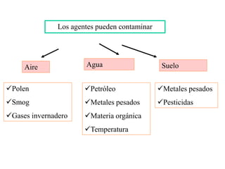 Los agentes pueden contaminar
Aire Agua Suelo
Polen
Smog
Gases invernadero
Petróleo
Metales pesados
Materia orgánica
Temperatura
Metales pesados
Pesticidas
 