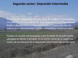 Segundo sector: Depresión IntermediaSe encuentra atravesada por una serie de cordones montañosos, situados en sentido este-oeste, que nacen en la Cordillera de Los Andes y desaparecen en la Cordillera de la Costa, este tipo de relieve se ha denominado Complejo montañoso Andinocostero.     Poseen un caudal semitranquilo y por lo tanto se forman suelos ubicados en llanos y terrazas. En el sector norte de la región los suelos de las llanuras de la depresión intermedia son de desierto