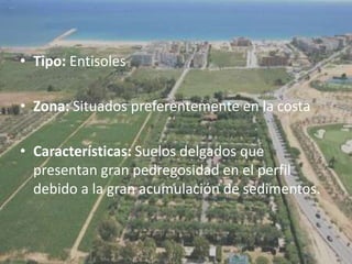 Tipo: Entisoles Zona: Situados preferentemente en la costa Características: Suelos delgados que presentan gran pedregosidad en el perfil debido a la gran acumulación de sedimentos.