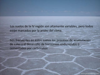 Los suelos de la IV región son altamente variables, pero todos están marcados por la aridez del clima.      Son frecuentes en estos suelos los procesos de acumulación de sales y el desarrollo de horizontes endurecidos o cementados por carbonatos