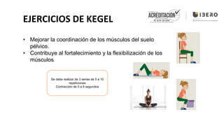 Suelo pelvico .pdf suelo pelvico fortale | PDF