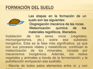 FORMACIÓN DEL SUELO 
Las etapas en la formación de un 
suelo son las siguientes: 
Disgregación mecánica de las rocas. 
Meteorización química de los 
materiales regolíticos, liberados. 
Instalación de los seres vivos (vegetales, 
microorganismos, etc.) sobre ese substrato 
inorgánico. Esta es la fase más significativa, ya que 
con sus procesos vitales y metabólicos, continúan la 
meteorización de los minerales, iniciada por 
mecanismos inorgánicos. Además, los restos 
vegetales y animales a través de la fermentación y la 
putrefacción enriquecen ese sustrato. 
 Mezcla de todos estos elementos entre sí, y con 
agua y aire. 
 