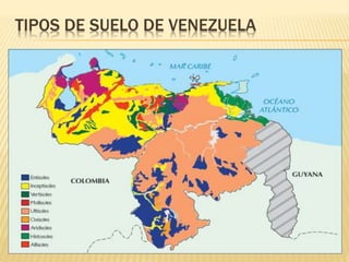 TIPOS DE SUELO DE VENEZUELA 
 