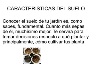 Horizontes  y los designamos con las letras A, B, C y R. Al conjunto lo llamamos  perfil del suelo . Horizonte A :   Es la primera capa y en ella se acumula la materia orgánica y se forma el  Humus. Horizonte B :Es  fundamentalmente de origen  Mineral, sin embargo también se encuentran sustancias orgánicas . Horizonte C : Está formado por el resto de roca fragmentaria proveniente de la disgregación física de la Roca Madre. Horizonte R : Es la capa mas profunda y esta formada por la roca madre, que da origen a los demás horizontes. 