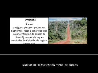     OXISOLES Suelos antiguos, porosos, pobres en nutrientes, rojos o amarillos  por la concentración de óxidos de hierro Ej: selvas y bosques tropicales En Colombia la región amazónica  SISTEMA  DE   CLASIFICACIÓN   TIPOS   DE  SUELOS  