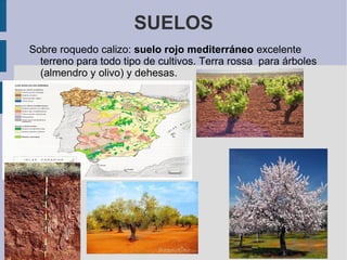 Árido tiene muy poca humedad y está formado sobretodo por rocas o arena suelta. La erosión del suelo: es el desgaste que se produce por la acción del viento y del agua. 