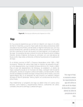 Manejo agronómico
              Figura 44. Síntomas por deficiencia de magnesio en el fríjol.



Riego
Es muy poca la experiencia que se tiene en relación con riego en el cultivo
de fríjol en Colombia, ya que la mayor parte de las áreas productoras están
ubicadas en la Zona Andina, donde existe un régimen de lluvias que, con muy
pocas excepciones, permite la siembra de cultivos transitorios como el fríjol
por dos cosechas en el año de acuerdo con este régimen y sin la aplicación
de riego. Se exceptúa de esta condición la zona de influencia de la cordillera
Oriental, donde el régimen de lluvias es unimodal, con una sola época de
lluvias al año. Bajo estas condiciones, el fríjol se ha producido sin la aplicación
de riego.

En el ámbito nacional, el INAT y Corpoica desarrollaron entre 1995 y 1997
el proyecto “Manejo de cultivos bajo riego en distritos de pequeña escala”,
en once departamentos, que incluyen los pisos térmicos frío, medio y cálido.
Para el caso del departamento de Antioquia, se estableció un distrito de
riego a pequeña escala en el municipio de Olaya, subregión del Occidente
antioqueño, donde se incluyeron cultivos de frutales y tomate de aliño. El área
donde se estableció el distrito de riego corresponde al clima medio y a la zona
agroecológica Mg. En el desarrollo de este proyecto se realizaron trabajos                Para regar el fríjol,
de riego en fríjol en Santander, Tolima y Nariño, en condiciones de clima frío y        es necesario conocer
clima medio.
                                                                                       los requerimientos de
Para implementar un programa de riego se deben tener en cuenta varios                     agua del cultivo en
factores, como balance y requerimientos hídricos, coeficientes de cultivo,
                                                                                      cada una de las etapas
cantidad y frecuencia del riego y calidad del agua.
                                                                                      de desarrollo y conocer
                                                                                         además los datos de
                                                                                           precipitación de la
                                                                                                        zona.
                                                                                                        77
 