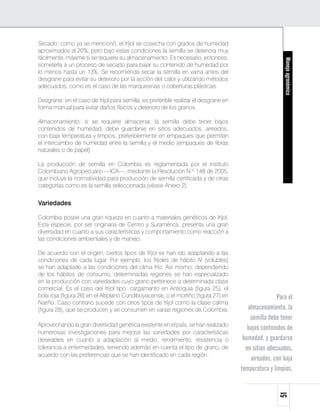 Secado: como ya se mencionó, el fríjol se cosecha con grados de humedad
aproximados al 20%, pero bajo estas condiciones la semilla se deteriora muy
fácilmente, máxime si se requiere su almacenamiento. Es necesario, entonces,




                                                                                                        Manejo agronómico
someterla a un proceso de secado para bajar su contenido de humedad por
lo menos hasta un 13%. Se recomienda secar la semilla en vaina antes del
desgrane para evitar su deterioro por la acción del calor y utilizando métodos
adecuados, como es el caso de las marquesinas o coberturas plásticas.

Desgrane: en el caso de fríjol para semilla, es preferible realizar el desgrane en
forma manual para evitar daños físicos y deterioro de los granos.

Almacenamiento: si se requiere almacenar, la semilla debe tener bajos
contenidos de humedad, debe guardarse en sitios adecuados, aireados,
con baja temperatura y limpios, preferiblemente en empaques que permitan
el intercambio de humedad entre la semilla y el medio (empaques de fibras
naturales o de papel).

La producción de semilla en Colombia es reglamentada por el instituto
Colombiano Agropecuario —ICA—, mediante la Resolución N.º 148 de 2005,
que incluye la normatividad para producción de semilla certificada y de otras
categorías como es la semilla seleccionada (véase Anexo 2).


Variedades

Colombia posee una gran riqueza en cuanto a materiales genéticos de fríjol.
Esta especie, por ser originaria de Centro y Suramérica, presenta una gran
diversidad en cuanto a sus características y comportamiento como reacción a
las condiciones ambientales y de manejo.

De acuerdo con el origen, ciertos tipos de fríjol se han ido adaptando a las
condiciones de cada lugar. Por ejemplo, los fríjoles de hábito IV (volubles)
se han adaptado a las condiciones del clima frío. Así mismo, dependiendo
de los hábitos de consumo, determinadas regiones se han especializado
en la producción con variedades cuyo grano pertenece a determinada clase
comercial. Es el caso del fríjol tipo: cargamanto en Antioquia (figura 25), el
bola roja (figura 26) en el Altiplano Cundiboyacense, o el mortiño (figura 27) en                    Para el
Nariño. Caso contrario sucede con otros tipos de fríjol como la clase calima
(figura 28), que se producen y se consumen en varias regiones de Colombia.              almacenamiento, la
                                                                                         semilla debe tener
Aprovechando la gran diversidad genética existente en el país, se han realizado
                                                                                        bajos contenidos de
numerosas investigaciones para mejorar las variedades por características
deseables en cuanto a adaptación al medio, rendimiento, resistencia o                 humedad, y guardarse
tolerancia a enfermedades, teniendo además en cuenta el tipo de grano, de              en sitios adecuados,
acuerdo con las preferencias que se han identificado en cada región.
                                                                                         aireados, con baja
                                                                                     temperatura y limpios.
                                                                                                     51
 