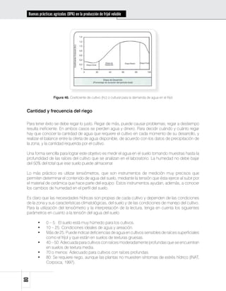 Buenas prácticas agrícolas (BPA) en la producción de fríjol voluble




                    Figura 46. Coeficiente de cultivo (Kc) o cultural para la demanda de agua en el fríjol



 Cantidad y frecuencia del riego

 Para tener éxito se debe regar lo justo. Regar de más, puede causar problemas; regar a destiempo
 resulta ineficiente. En ambos casos se pierden agua y dinero. Para decidir cuándo y cuánto regar
 hay que conocer la cantidad de agua que requiere el cultivo en cada momento de su desarrollo, y
 realizar el balance entre la oferta de agua disponible, de acuerdo con los datos de precipitación de
 la zona, y la cantidad requerida por el cultivo.

 Una forma sencilla para lograr este objetivo es medir el agua en el suelo tomando muestras hasta la
 profundidad de las raíces del cultivo que se analizan en el laboratorio. La humedad no debe bajar
 del 50% del total que ese suelo puede almacenar.

 Lo más práctico es utilizar tensiómetros, que son instrumentos de medición muy precisos que
 permiten determinar el contenido de agua del suelo, mediante la tensión que ésta ejerce al subir por
 el material de cerámica que hace parte del equipo. Estos instrumentos ayudan, además, a conocer
 los cambios de humedad en el perfil del suelo.

 Es claro que las necesidades hídricas son propias de cada cultivo y dependen de las condiciones
 de la zona y sus características climatológicas, del suelo y de las condiciones de manejo del cultivo.
 Para la utilización del tensiómetro y la interpretación de la lectura, tenga en cuenta los siguientes
 parámetros en cuanto a la tensión del agua del suelo:

        •     0 – 5: El suelo está muy húmedo para los cultivos.
        •     10 – 25: Condiciones ideales de agua y aireación.
        •     Más de 25: Puede indicar deficiencias de agua en cultivos sensibles de raíces superficiales
              como el fríjol y que están en suelos de texturas gruesas.
        •     40 – 50: Adecuada para cultivos con raíces moderadamente profundas que se encuentran
              en suelos de textura media.
        •     70 o menos: Adecuado para cultivos con raíces profundas.
        •     80: Se requiere riego, aunque las plantas no muestren síntomas de estrés hídrico (INAT,
              Corpoica, 1997).
80
 