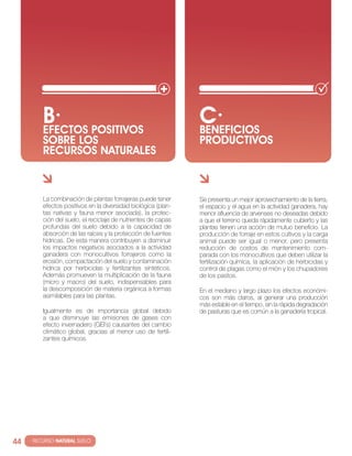 b· positivos
          Efectos
                                                                c·
                                                                Beneficios
          sobre los                                             productivos
          recursos naturales



          La combinación de plantas forrajeras puede tener      Se presenta un mejor aprovechamiento de la tierra,
          efectos positivos en la diversidad biológica (plan-   el espacio y el agua en la actividad ganadera, hay
          tas nativas y fauna menor asociada), la protec-       menor afluencia de arvenses no deseadas debido
          ción del suelo, el reciclaje de nutrientes de capas   a que el terreno queda rápidamente cubierto y las
          profundas del suelo debido a la capacidad de          plantas tienen una acción de mutuo beneficio. La
          absorción de las raíces y la protección de fuentes    producción de forraje en estos cultivos y la carga
          hídricas. De esta manera contribuyen a disminuir      animal puede ser igual o menor, pero presenta
          los impactos negativos asociados a la actividad       reducción de costos de mantenimiento com-
          ganadera con monocultivos forrajeros como la          parada con los monocultivos que deben utilizar la
          erosión, compactación del suelo y contaminación       fertilización química, la aplicación de herbicidas y
          hídrica por herbicidas y fertilizantes sintéticos.    control de plagas como el mión y los chupadores
          Además promueven la multiplicación de la fauna        de los pastos.
          (micro y macro) del suelo, indispensables para
          la descomposición de materia orgánica a formas        En el mediano y largo plazo los efectos económi-
          asimilables para las plantas.                         cos son más claros, al generar una producción
                                                                más estable en el tiempo, sin la rápida degradación
          Igualmente es de importancia global debido            de pasturas que es común a la ganadería tropical.
          a que disminuye las emisiones de gases con
          efecto invernadero (GEI´s) causantes del cambio
          climático global, gracias al menor uso de fertili-
          zantes químicos.




44   · RECURSO NATURAL SUELO
 
