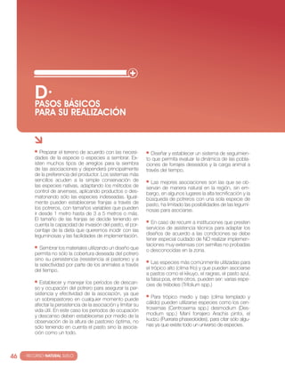 d· básicos
          Pasos
          para su realización



             Preparar el terreno de acuerdo con las necesi-          Diseñar y establecer un sistema de seguimien-
          dades de la especie o especies a sembrar. Ex-           to que permita evaluar la dinámica de las pobla-
          isten muchos tipos de arreglos para la siembra          ciones de forrajes deseados y la carga animal a
          de las asociaciones y dependerá principalmente          través del tiempo.
          de la preferencia del productor. Los sistemas más
          sencillos acuden a la simple conservación de              Las mejores asociaciones son las que se ob-
          las especies nativas, adaptando los métodos de          servan de manera natural en la región, sin em-
          control de arvenses, aplicando productos o des-         bargo, en algunos lugares la alta tecnificación y la
          matonando sólo las especies indeseadas. Igual-          búsqueda de potreros con una sola especie de
          mente pueden establecerse franjas a través de           pasto, ha limitado las posibilidades de las legumi-
          los potreros, con tamaños variables que pueden          nosas para asociarse.
          ir desde 1 metro hasta de 3 a 5 metros o más.
          El tamaño de las franjas se decide teniendo en
          cuenta la capacidad de invasión del pasto, el por-        En caso de recurrir a instituciones que presten
          centaje de la dieta que queremos incidir con las        servicios de asistencia técnica para adaptar los
          leguminosas y las facilidades de implementación.        diseños de acuerdo a las condiciones se debe
                                                                  tener especial cuidado de NO realizar implemen-
                                                                  taciones muy extensas con semillas no probadas
             Sembrar los materiales utilizando un diseño que      o desconocidas en la zona.
          permita no sólo la cobertura deseada del potrero
          sino su persistencia (resistencia al pastoreo y a
          la selectividad por parte de los animales a través         Las especies más comúnmente utilizadas para
          del tiempo.                                             el trópico alto (clima frío) y que pueden asociarse
                                                                  a pastos como el kikuyo, el raigras, el pasto azul,
                                                                  la falsa poa, entre otros, pueden ser: varias espe-
             Establecer y manejar los períodos de descan-         cies de tréboles (Trifolium spp.)
          so y ocupación del potrero para asegurar la per-
          sistencia y efectividad de la asociación, ya que
          un sobrepastoreo en cualquier momento puede                Para trópico medio y bajo (clima templado y
          afectar la persistencia de la asociación y limitar su   cálido) pueden utilizarse especies como los cen-
          vida útil. En este caso los periodos de ocupación       trosemas (Centrosema spp.) desmodium (Des-
          y descanso deben establecerse por medio de la           modium spp.) Maní forrajero Arachis pintoi, el
          observación de la altura de pastoreo óptima, no         kudzú (Pueraria phaseoloides), para citar sólo algu-
          sólo teniendo en cuenta el pasto sino la asocia-        nas ya que existe todo un universo de especies.
          ción como un todo.



46   · RECURSO NATURAL SUELO
 