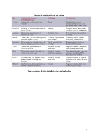 Ejemplo de clasificación de los suelos
Representación Gráfica de la Estructura de los Suelos
12
 