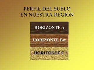 PERFIL DEL SUELO
EN NUESTRA REGIÓN
HORIZONTE A
HORIZONTE C
HORIZONTE Bw
 