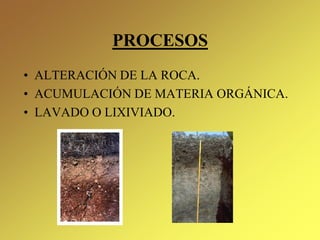 PROCESOS
• ALTERACIÓN DE LA ROCA.
• ACUMULACIÓN DE MATERIA ORGÁNICA.
• LAVADO O LIXIVIADO.
 