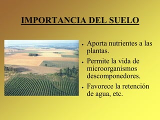 IMPORTANCIA DEL SUELO
● Aporta nutrientes a las
plantas.
● Permite la vida de
microorganismos
descomponedores.
● Favorece la retención
de agua, etc.
 