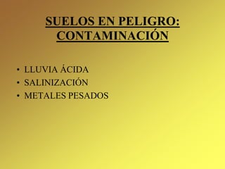 SUELOS EN PELIGRO:
CONTAMINACIÓN
• LLUVIA ÁCIDA
• SALINIZACIÓN
• METALES PESADOS
 