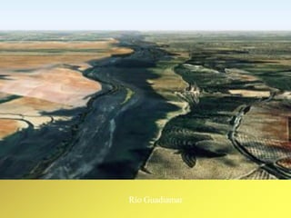 Río Guadiamar
 