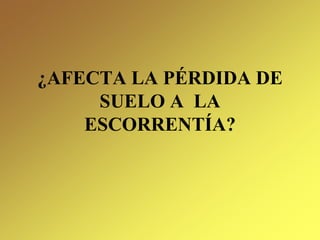 ¿AFECTA LA PÉRDIDA DE
SUELO A LA
ESCORRENTÍA?
 
