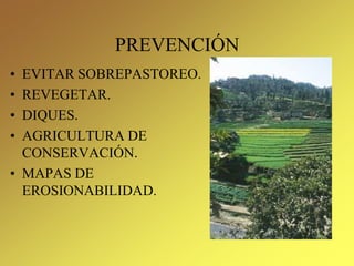 PREVENCIÓN
• EVITAR SOBREPASTOREO.
• REVEGETAR.
• DIQUES.
• AGRICULTURA DE
CONSERVACIÓN.
• MAPAS DE
EROSIONABILIDAD.
 