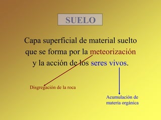 SUELO
Capa superficial de material suelto
que se forma por la meteorización
y la acción de los seres vivos.
Disgregación de la roca
Acumulación de
materia orgánica
 