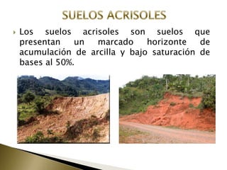 Suelos | PPTX