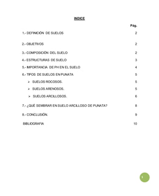 1
INDICE
Pág.
1.- DEFINICIÓN DE SUELOS 2
2.- OBJETIVOS 2
3.- COMPOSICIÓN DEL SUELO 2
4.- ESTRUCTURAS DE SUELO 3
5.- IMPORTANCIA DE PH EN EL SUELO 4
6.- TIPOS DE SUELOS EN PUNATA 5
 SUELOS ROCOSOS. 5
 SUELOS ARENOSOS. 5
 SUELOS ARCILLOSOS. 6
7.- ¿QUÉ SEMBRAR EN SUELO ARCILLOSO DE PUNATA? 8
8.- CONCLUSIÓN. 9
BIBLIOGRAFIA 10
 