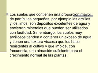  Los suelos que contienen una proporción mayor
de partículas pequeñas, por ejemplo las arcillas
y los limos, son depósitos excelentes de agua y
encierran minerales que pueden ser utilizados
con facilidad. Sin embargo, los suelos muy
arcillosos tienden a contener un exceso de agua
y tienen una textura viscosa que los hace
resistentes al cultivo y que impide, con
frecuencia, una aireación suficiente para el
crecimiento normal de las plantas.
 